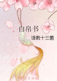白帛書