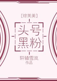 [綜英美]頭號黑粉