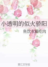 小透明的似火驕陽