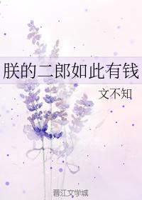 朕的二郎如此有錢