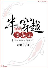 半瓶醋穿越闖蕩記