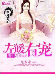 重生之左暖右愛