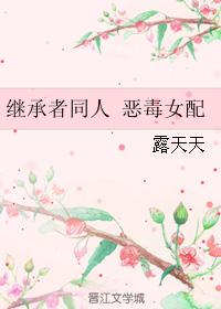 繼承者同人 惡毒女配