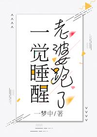 一覺睡醒老婆跑了[古穿今]