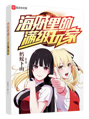 海賊裏的滿級玩家