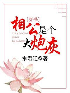 相公是個大炮灰（穿書）