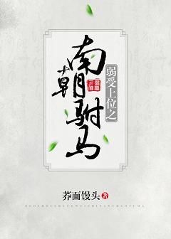 南朝驸馬gl
