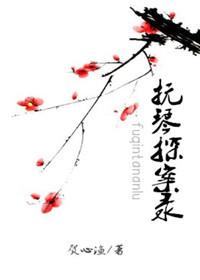 撫琴探案錄
