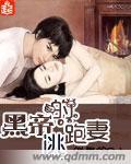 黑帝的逃跑妻