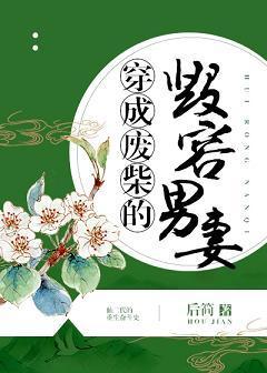 穿成廢柴的毀容男妻