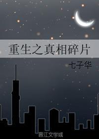 重生之真相碎片