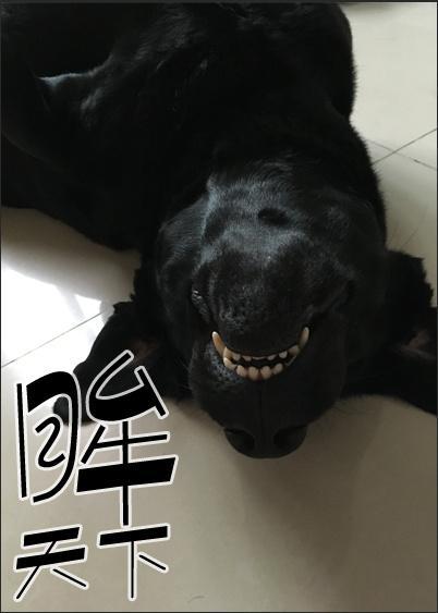 眸天下