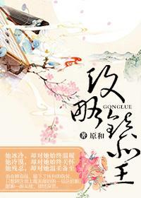 攻略鎮北王