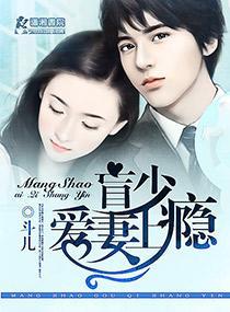 盲少愛妻上瘾
