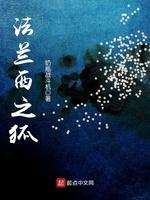 法蘭西之狐