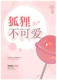狐貍不可愛