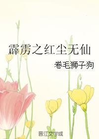 霹靂之紅塵無仙