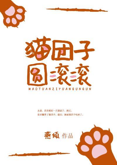 貓團子圓滾滾