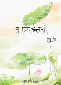 瑕不掩瑜