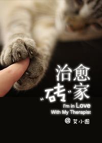 治愈磚家