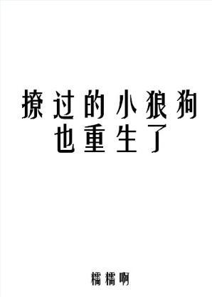 撩過的小狼狗也重生了