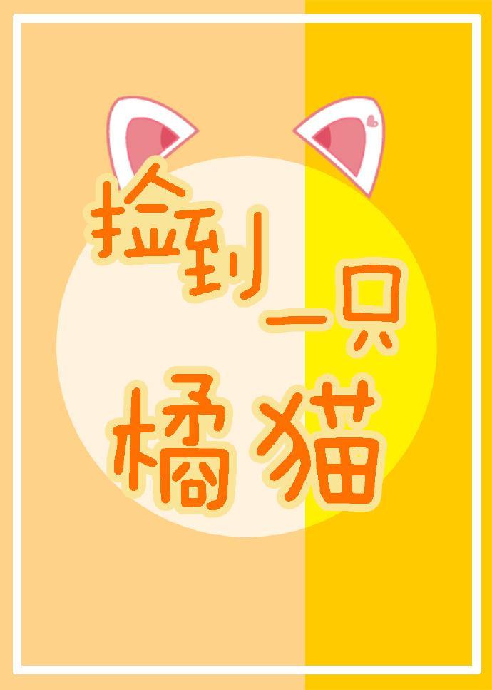 撿到一只橘貓
