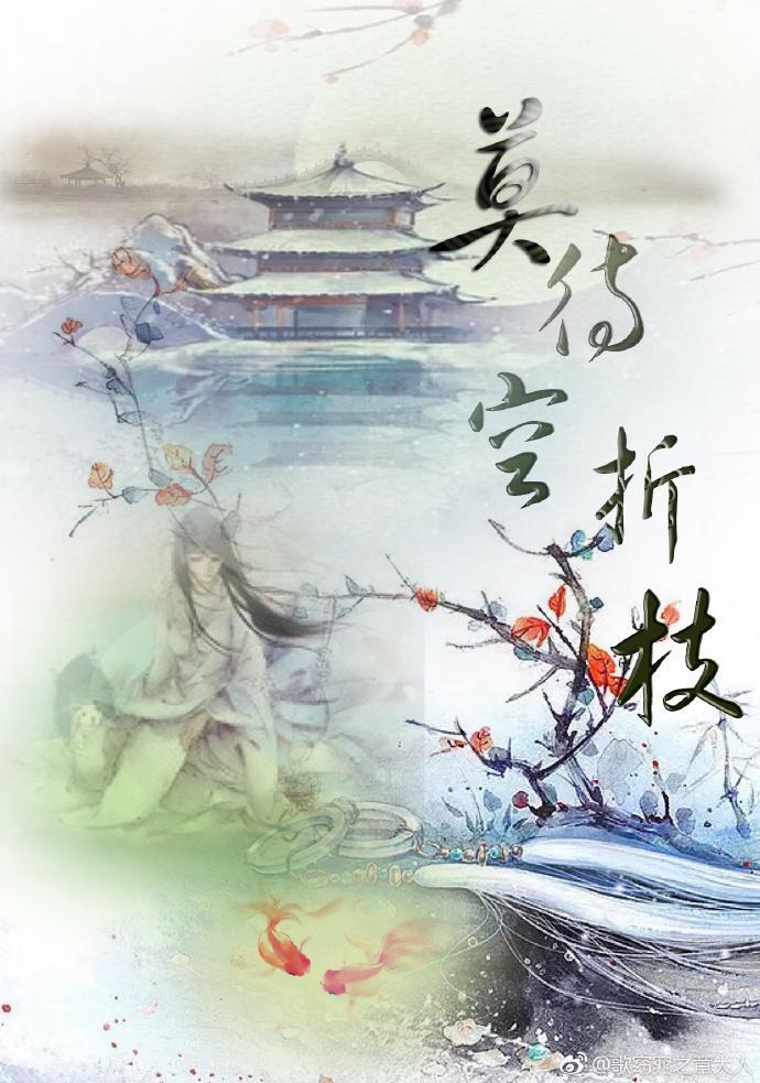 莫待·空折枝