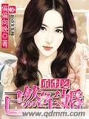 重生之已然軍婚