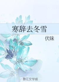 寒辭去冬雪