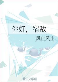 你好，宿敵
