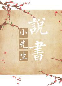 小先生說書