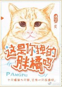 這是你掉的胖橘嗎