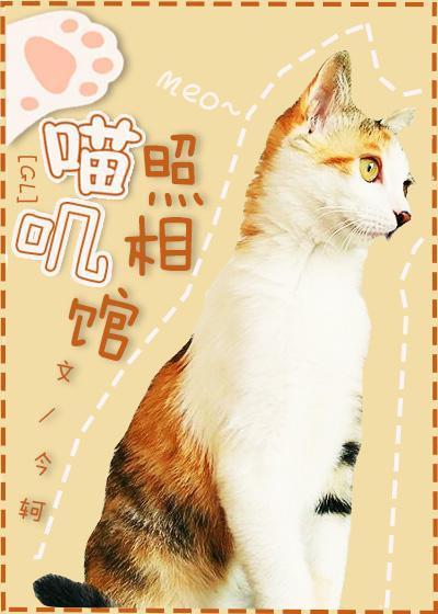 喵叽照相館