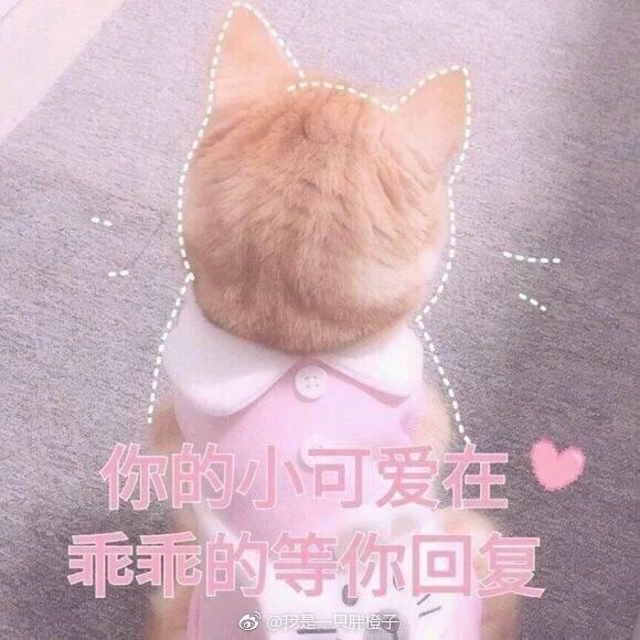 哥們，幫個忙