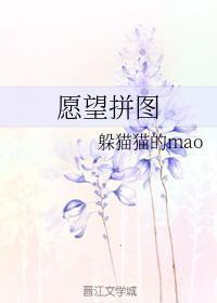 願望拼圖