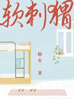 軟刺猬