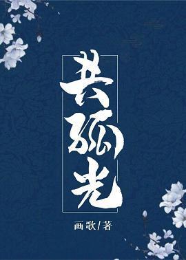 共孤光