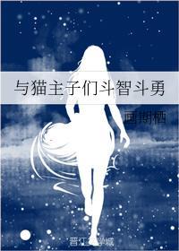 與貓主子們鬥智鬥勇