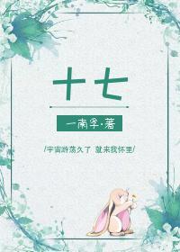 十七