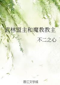 武林盟主和魔教教主