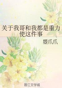 關于我哥和我都是重力使這件事