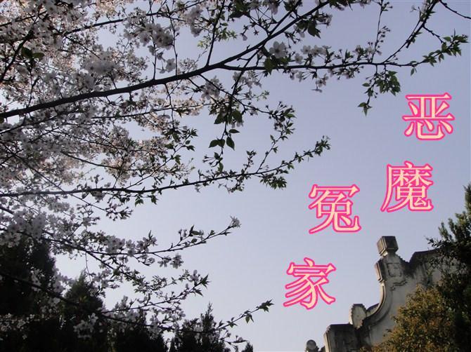 惡魔冤家