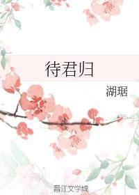 待君歸