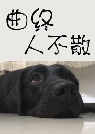 曲終人不散