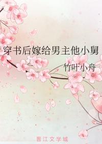 穿書後嫁給男主他小舅