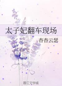 太子妃翻車現場