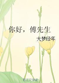 你好，傅先生