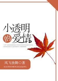 小透明的愛情