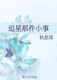 追星那件小事