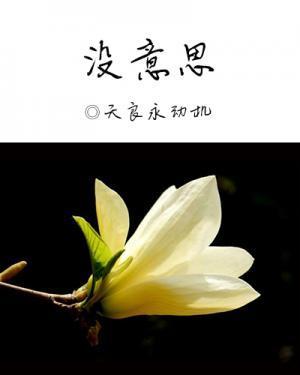 沒意思